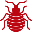 line drawing of Bed Bug