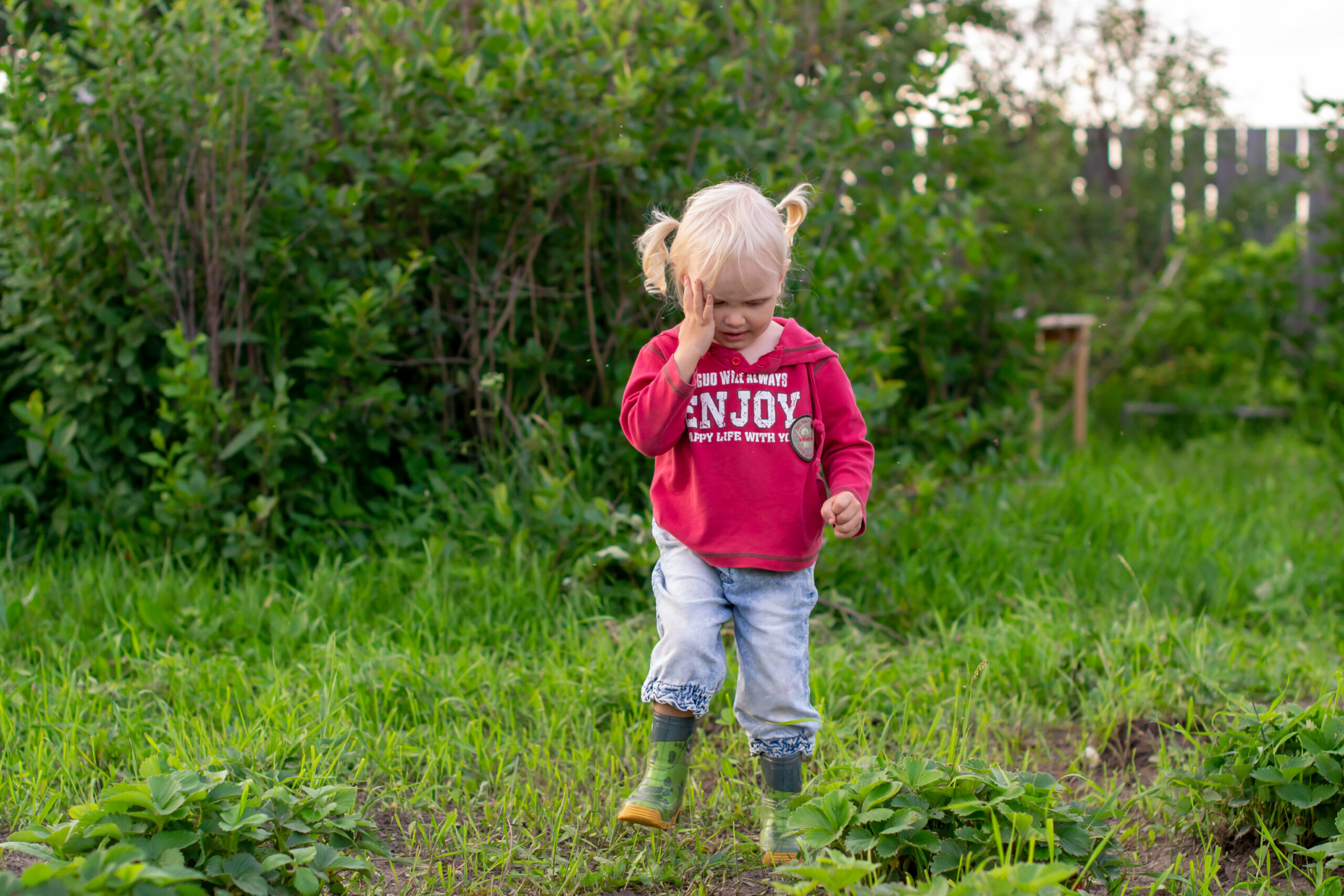 Summer Mosquito Control in Little Rock